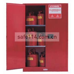 可燃液体安全储存柜 WA810860R