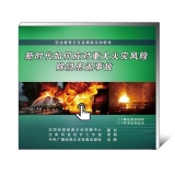 《新时代如何应对重大火灾风险除隐患遏事故》  （U盘4集）