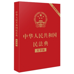 中华人民共和国民法典（大字版 含草案说明）