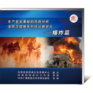 爆炸篇--生产安全事故的原因分析及防范措施系列培训教学片（2集U盘）